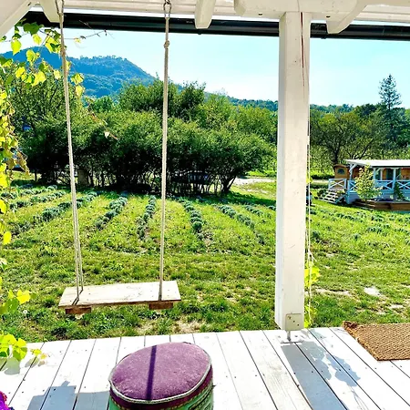Eco * Kisapati